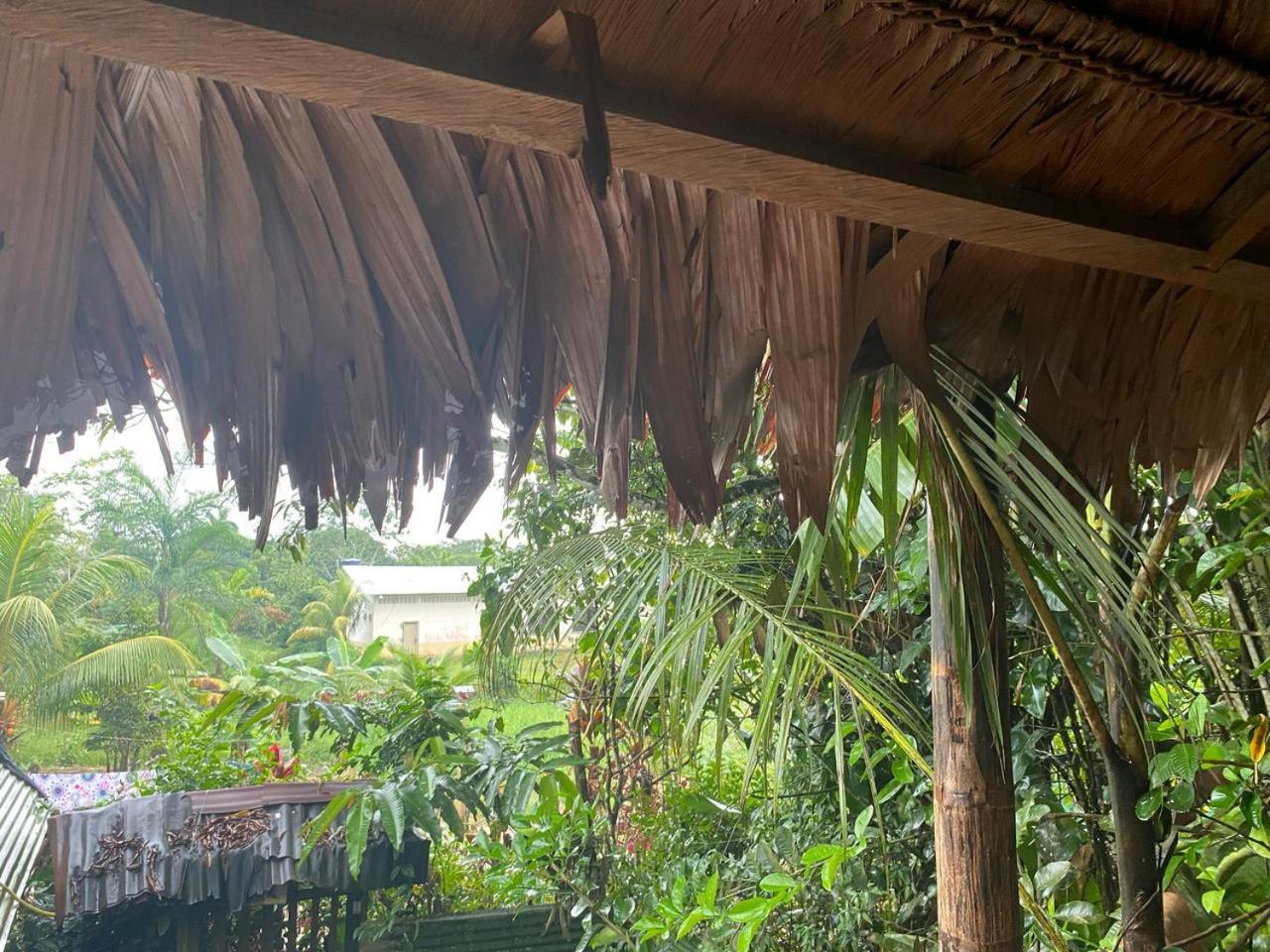 Xingu Camping Site Leticia Ngoại thất bức ảnh