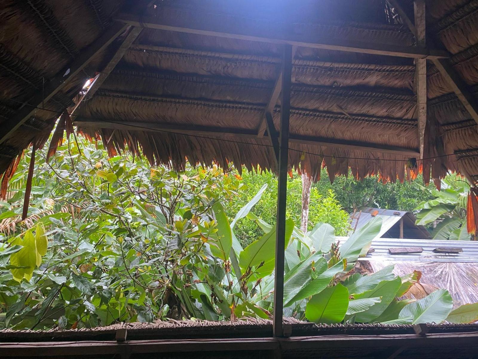 Xingu Camping Site Leticia Ngoại thất bức ảnh