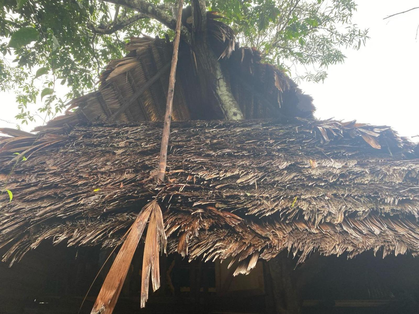 Xingu Camping Site Leticia Ngoại thất bức ảnh