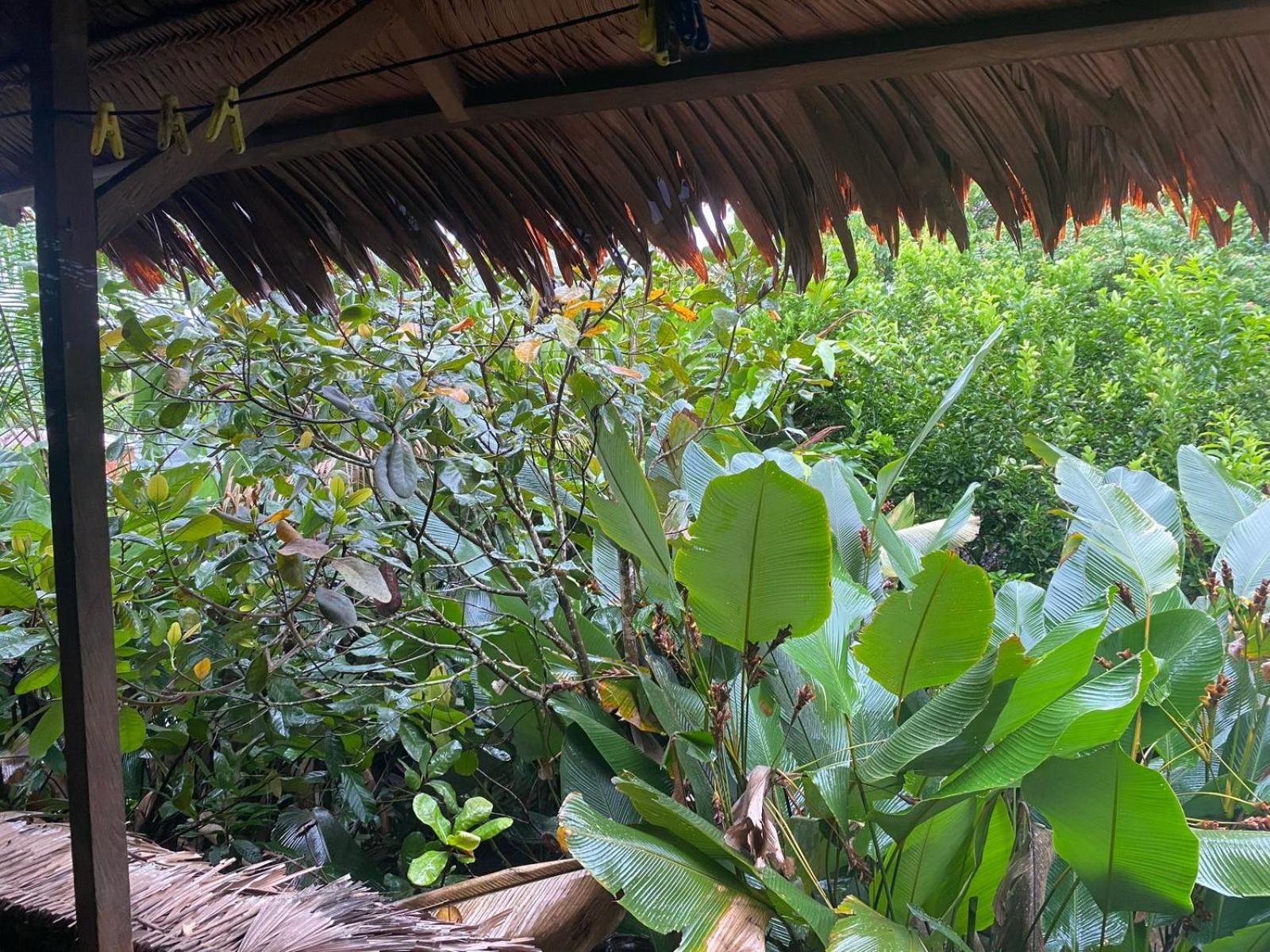 Xingu Camping Site Leticia Ngoại thất bức ảnh