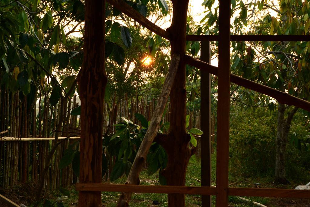 Xingu Camping Site Leticia Ngoại thất bức ảnh