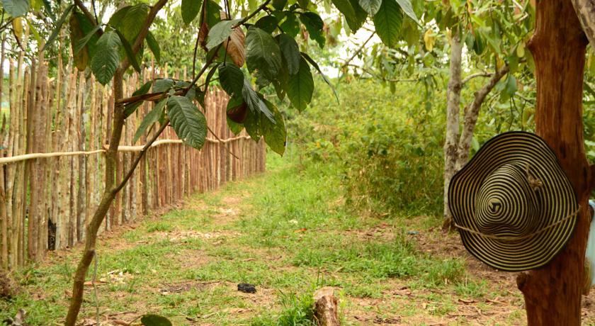 Xingu Camping Site Leticia Phòng bức ảnh