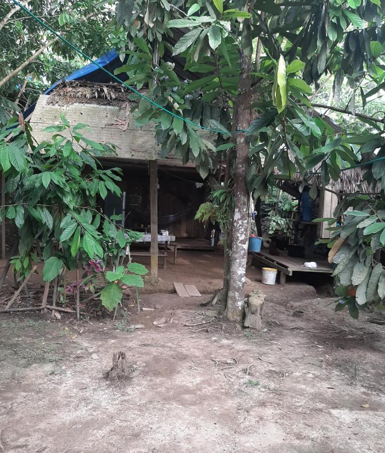 Xingu Camping Site Leticia Ngoại thất bức ảnh