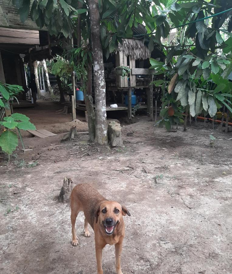 Xingu Camping Site Leticia Ngoại thất bức ảnh